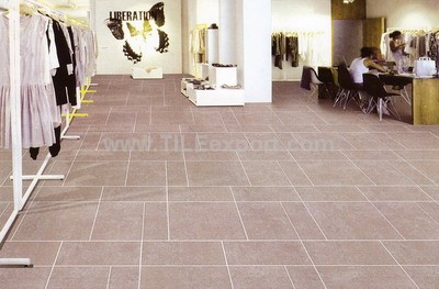 Floor_Tile--Porcelain_Tile,600X600mm[SS],66006_view